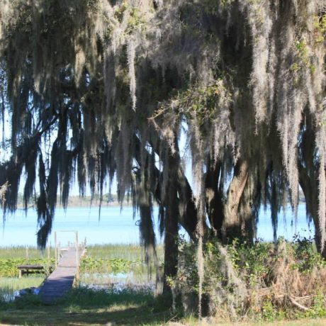 A serene image of Lake Letta at sunset, surrounded by lush greenery, representing the peaceful and scenic atmosphere at Lake Letta RV Park in Avon Park, FL.