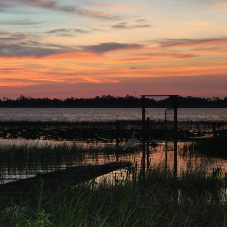 A serene image of Lake Letta at sunset, surrounded by lush greenery, representing the peaceful and scenic atmosphere at Lake Letta RV Park in Avon Park, FL.