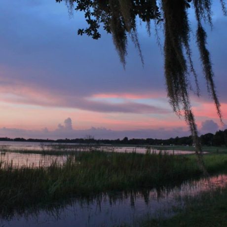 A serene image of Lake Letta at sunset, surrounded by lush greenery, representing the peaceful and scenic atmosphere at Lake Letta RV Park in Avon Park, FL.